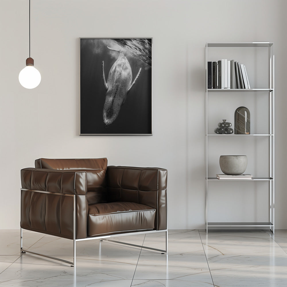 Black & Whale Poster